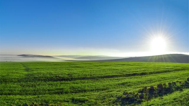 sunrise over grass