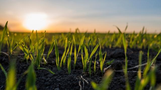 agriculture ecoproducts field